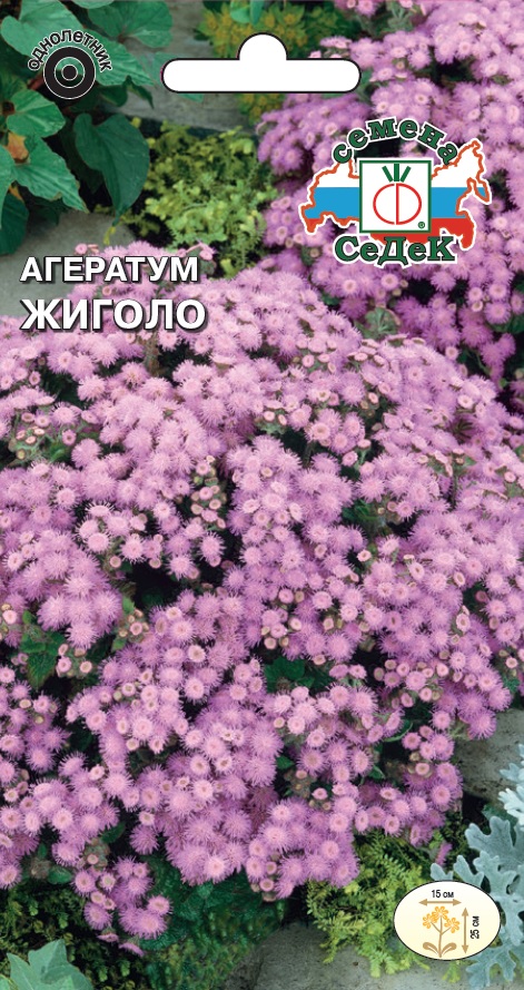 Семена цветов - Агератум Жиголо (Мексиканский, Розовый)  0,1 гр.