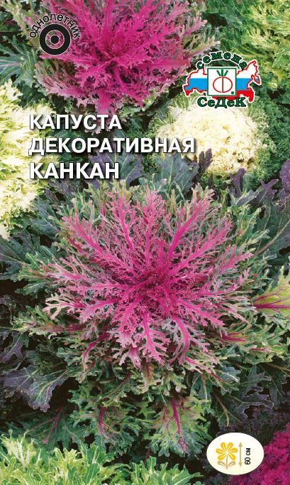 Семена цветов - Капуста Канкан  0,1 гр.