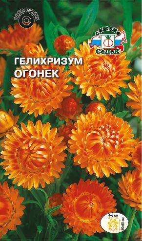 Семена цветов - Гелихризум Огонёк  0,2 гр.