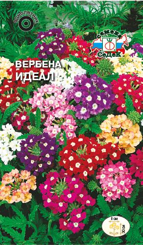 Семена цветов - Вербена Идеал  0,1 гр.