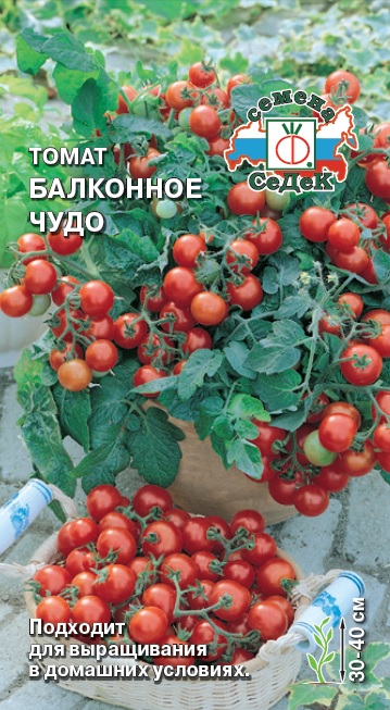 Семена - Томат Балконное Чудо  0,1 гр.