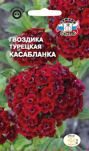 Семена цветов - Гвоздика Касабланка 0,3 гр.