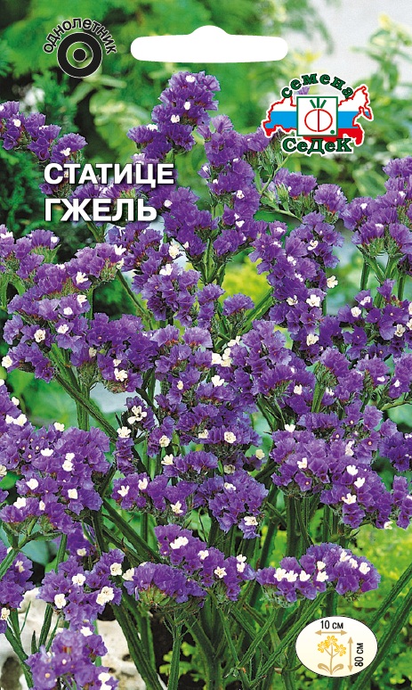 Семена цветов - Статице Гжель  0,2 гр.