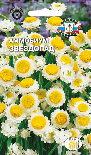 Семена цветов - Аммобиум Звездопад  0,2 гр.