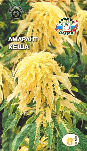 Семена цветов - Амарант Кеша  0,1 гр.