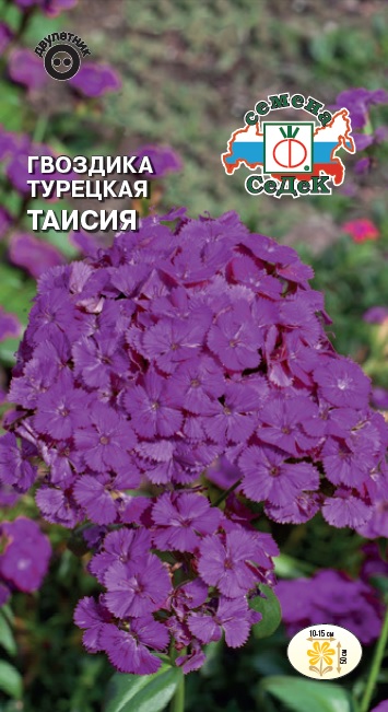 Семена цветов - Гвоздика Таисия 0,3 гр.