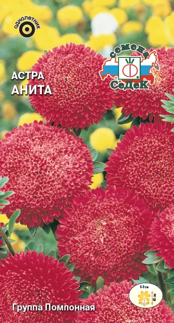 Семена цветов - Астра Анита  0,2 гр.