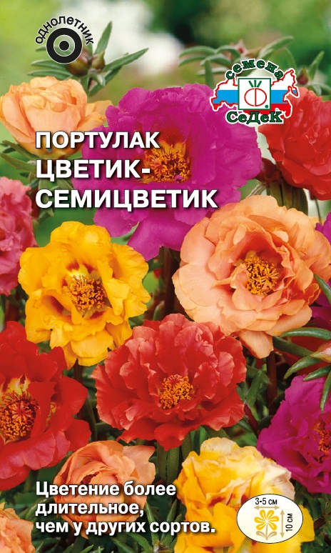 Семена цветов - Портулак Цветик-Семицветик 0,1 г - 2 пакета