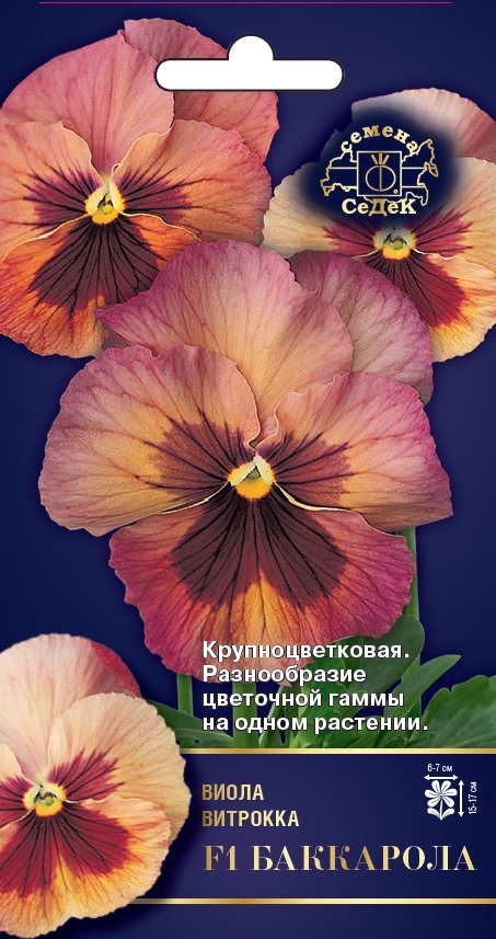 Семена цветов - Виола Баккарола F1  5 шт