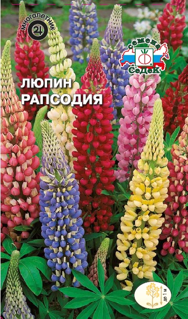 Семена цветов - Люпин Рапсодия  0,5 гр.