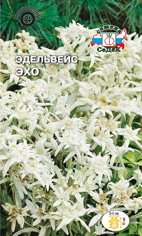 Семена цветов - Эдельвейс Эхо  0,05 гр.