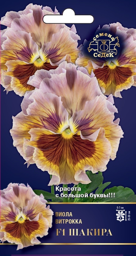 Семена цветов - Виола Шакира F1  5 шт