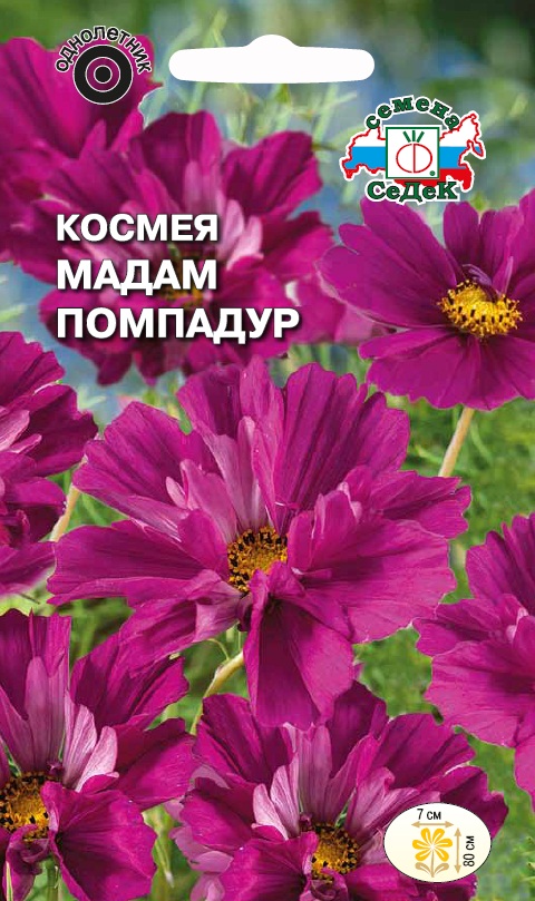 Семена цветов - Космея Мадам Помпадур 0,04 гр.