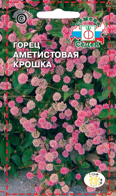 Семена цветов - Горец Аметистовая Крошка  0,1 гр.