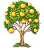 Саженцы плодово-ягодных деревьев